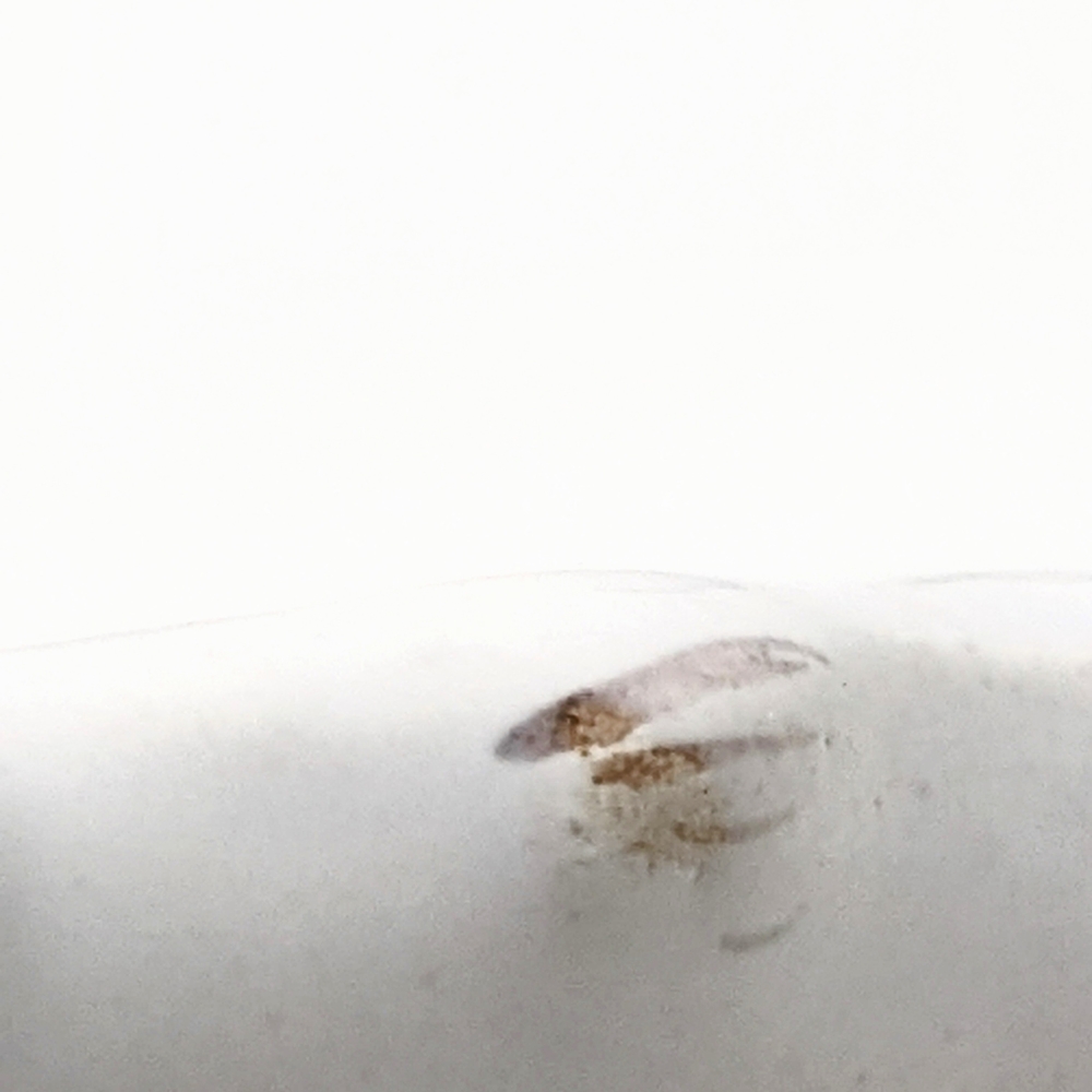 Mud Pie White Ceramic Dip Bowl "Dip dip hooray" - Picture 3 of 4